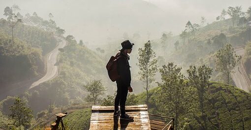 Skal du udstationeres i Indonesien?